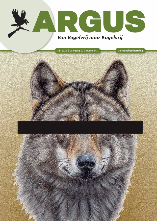 argus2025-1.pdf