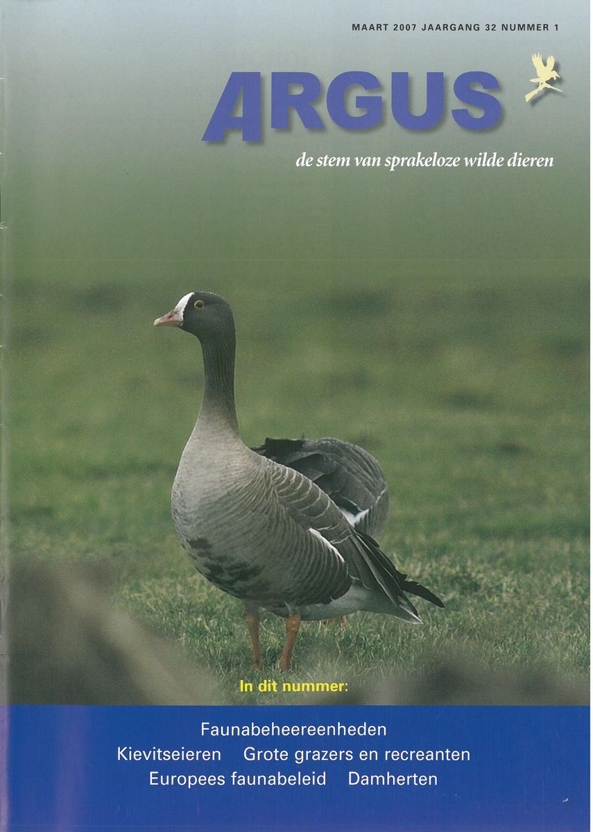 argus2007-1.pdf